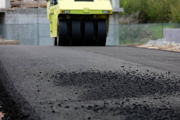 Best Residential Driveway Paver Services  in Lakeland, FL